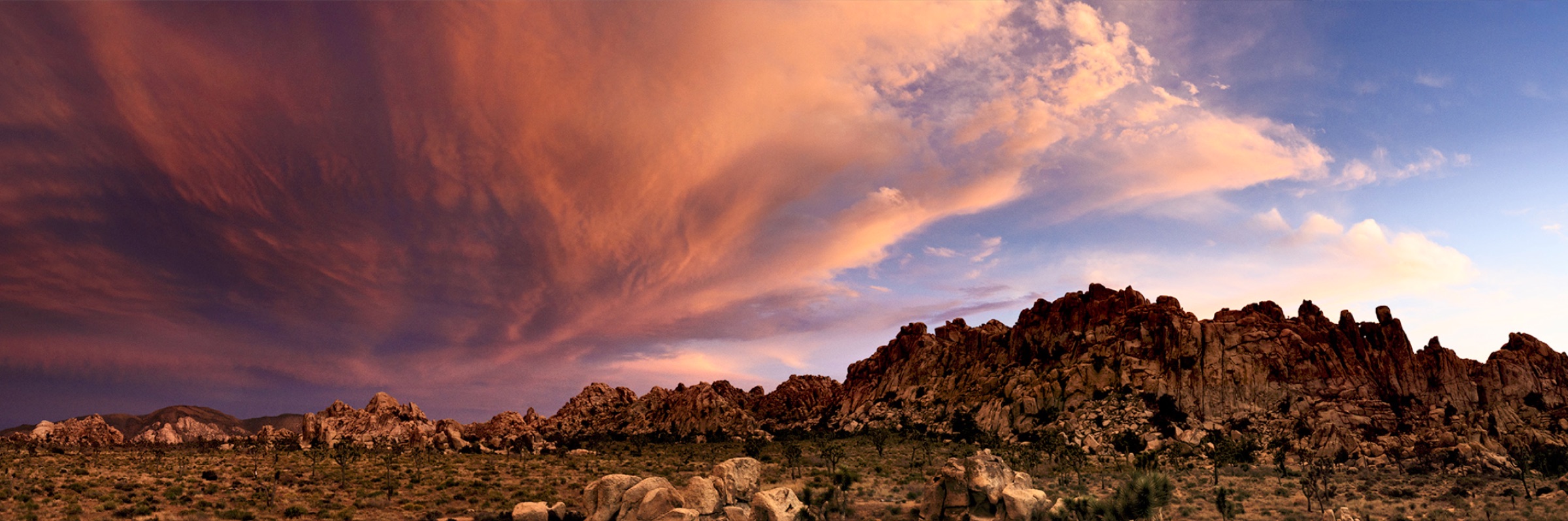 Joshua Tree photograph 1